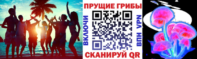 Купить где  Вязьма  Псилоцибиновые грибы прущие грибы 